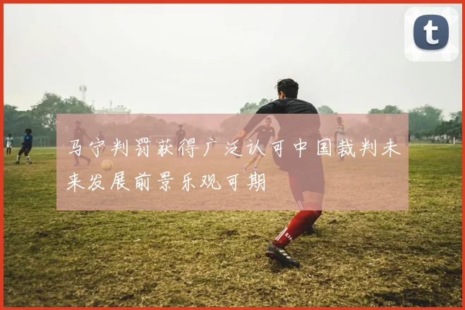 马宁判罚获得广泛认可中国裁判未来发展前景乐观可期